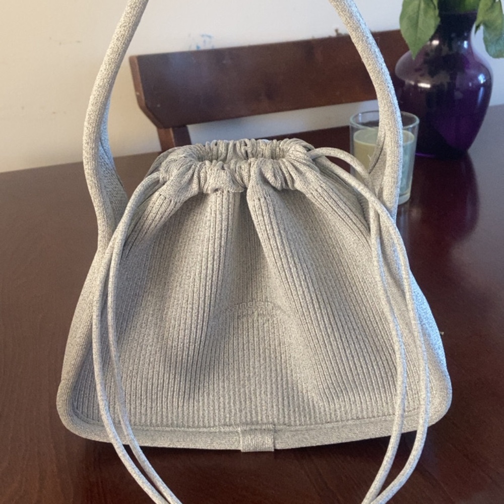 Alexander wang handbag